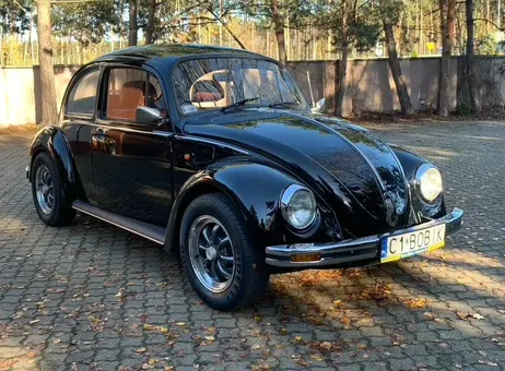 Volkswagen Beetle P260504063