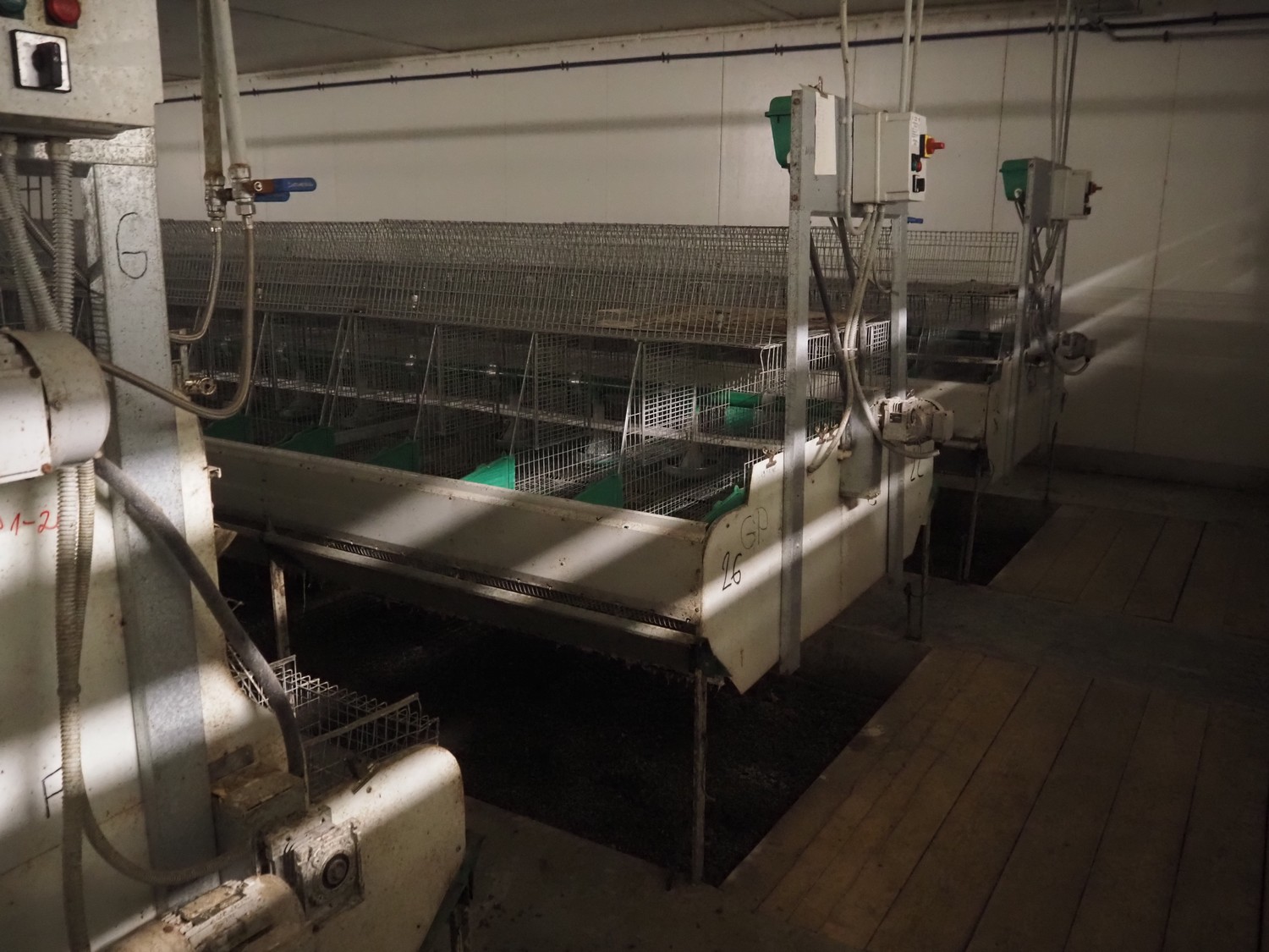 Rabbit Processing Uk Complete Meneghin rabbit growing stables Used machines - Exapro