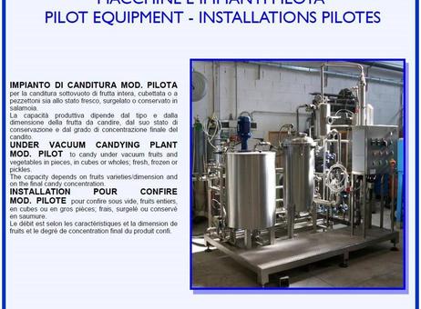 Vgc Canditura pilota P260531013
