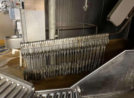 GMN Techmet Pig slaughter line, GMN Techmet, 90 pph P260702049