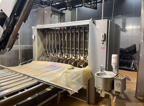 GMN Techmet Pig slaughter line, GMN Techmet, 90 pph P260702049