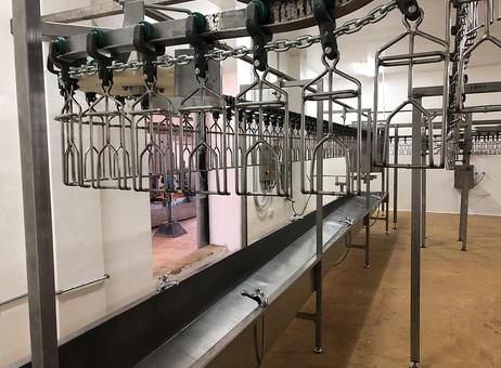Various Poultry slaughter line, 1.000 bph P260702094