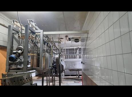 Various Poultry slaughter line, 2.500 bph P260702096
