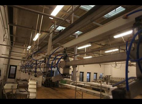 Linco Grading line P260702103