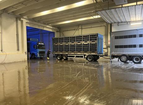 Linco Linco P260702114