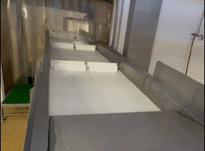 La Parmentiere Reception trough white offal, SS Food processing machine