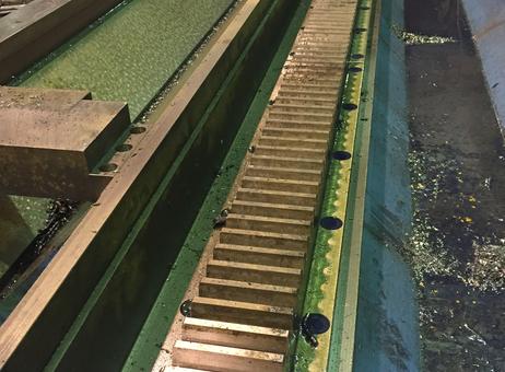 BURKHARDT WEBER HYOP 750 P260716014