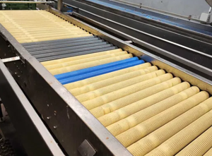 M&P Complete Onion Peeling Line