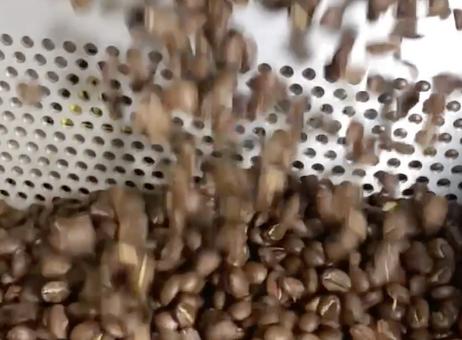 Coffee-Tech Engineering FZ94 Pro-Lab Roaster P260812076
