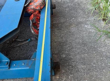 Demag P-hoist 10 ton P260819008