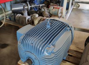 WEG 225P Electric Motor
