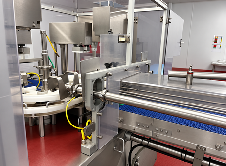 Packaging Automation Starwheel P261020068