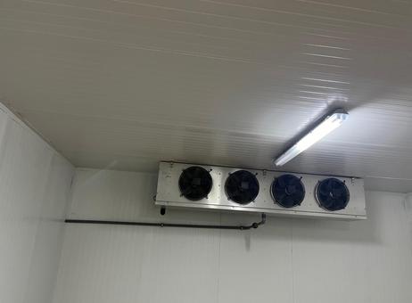 Cryo giam srl Pecomark P261022068