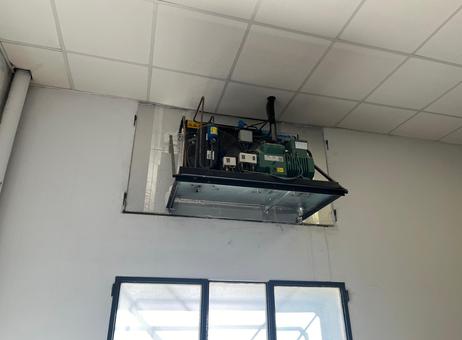 Cryo giam srl Pecomark P261022068