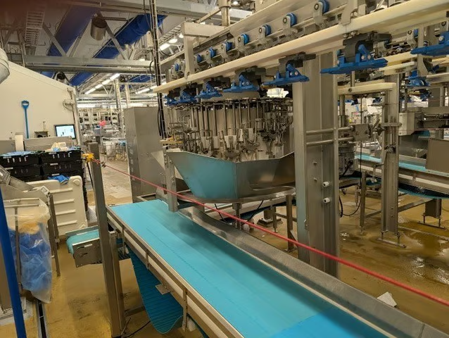 Online auction Stork poultry processing line in Haerland (NO)
